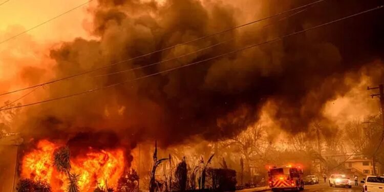 লস অ্যাঞ্জেলেসে দাবানল : ৫০ বিলিয়ন ডলারের সম্পদ পুড়েছে, চলছে লুটপাট