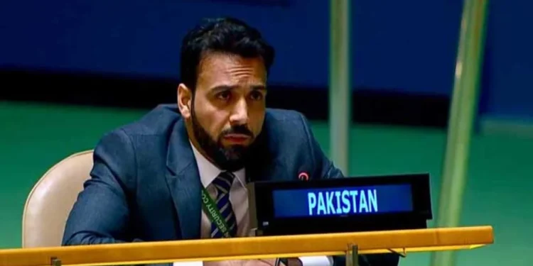 ভারত শুধু সন্ত্রাস প্রবণ দেশ নয়, এটি আঞ্চলিক দানবও, জাতিসংঘে পাকিস্তান