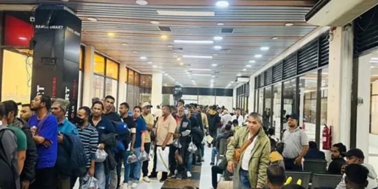 লিবিয়া থেকে দেশে ফিরলেন আরও ৩০৯ বাংলাদেশি